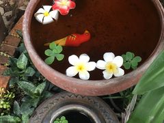 -清迈女子监狱马杀鸡(无分店)