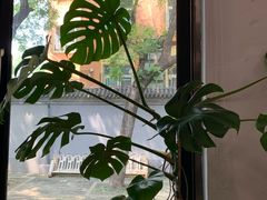 -北京市东城区东四九条小学