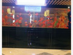 -玲珑汤泉生活会馆(花桥店)