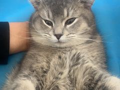 -宠福鑫动物医院(城北分院)