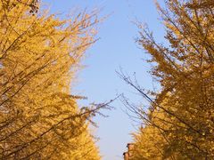 -辽宁大学(崇山校区)
