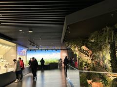 -四川大学博物馆