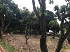 -鹤之洲湿地公园