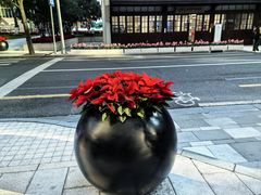 -上海静安香格里拉大酒店
