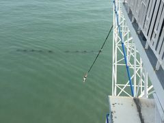 -星海蹦极娱乐