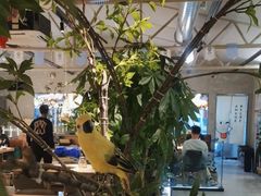 -奉天宴遇烧烤·冒锅