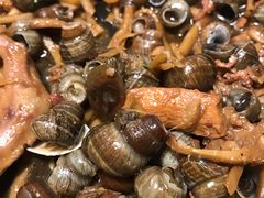 -食爺炭炉鸡煲·烧烤