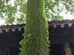 -嵩山少林文化旅游景区