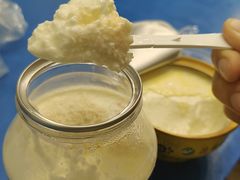 -德禄酸奶(莫家街店)