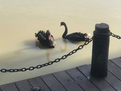 -襄阳烈士陵园(襄城区)