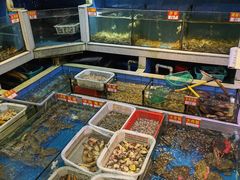 水产区-东江海鲜大排档·潮汕菜·砂锅粥