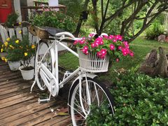 -黄色小屋