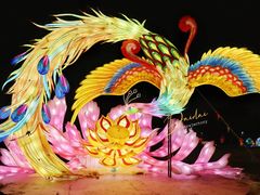 -武汉园博园(武汉自然博物馆)