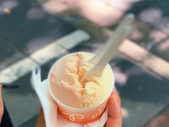 阳山水蜜桃-DIP in GELATO(富民路店)