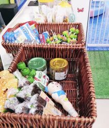 -开心哈乐亲子乐园(东森时尚百货店)