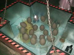 -世界恐龙谷景区