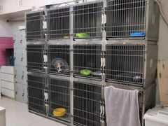 -瑞派康怡24h宠物医院·犬猫医疗中心·微创绝育(瑞景分院)