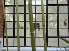 -胶囊画廊