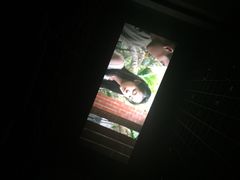 iphone_upload_pic-山文星辉影城(青岛和谐广场店)
