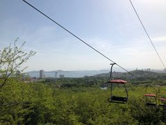-青岛中山公园-索道售票处