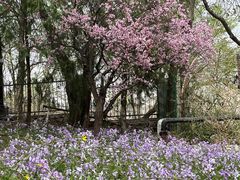 -北京鹫峰国家森林公园