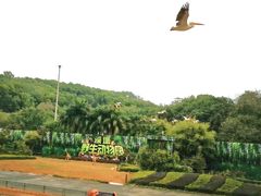 -深圳野生动物园
