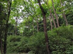 -三门江国家森林公园