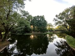 -上海共青森林公园
