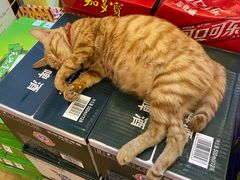 -乌记鲜活牛肉城(乐山路店)
