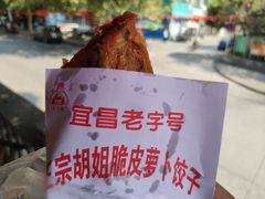 -半月镰胡姐脆皮萝卜饺子