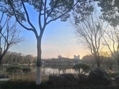 -昆山城市生态森林公园