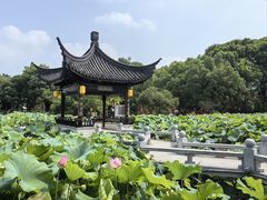 -丝绸小镇荻港古村