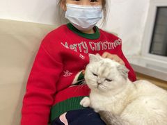 -鼓捣猫呢主题猫咖店