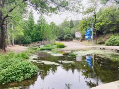 -白水寺森林公园