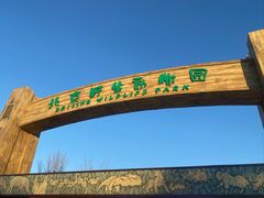 -北京野生动物园