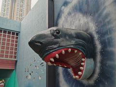 -海合安成都极地海洋公园