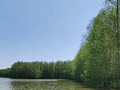 -上海海湾国家森林公园