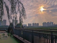 -月湖风景区