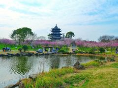 -上海海湾国家森林公园