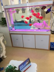 -痘庄科学祛痘国际连锁机构