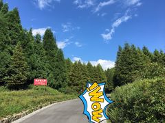 -山王坪喀斯特国家生态公园