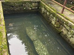-庐山风景区花径公园