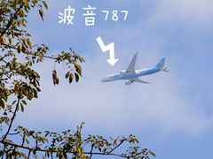 -荔湾湖公园