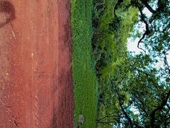 -维乐口腔医院(福清院)