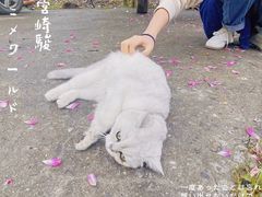 -烤匠麻辣烤鱼(万象城店)