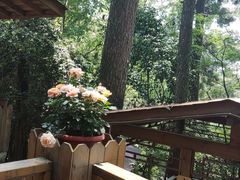 -生态园山庄(森林公园店)