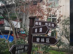 -莲湖公园