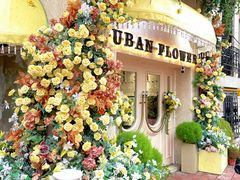 -常熟路(地铁站)