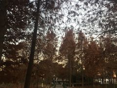 -尚贤河湿地