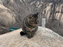 -北京凤凰岭
